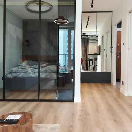 Апартаменты Loft Motlawa White & Black Гданьск