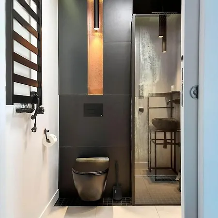 Апартаменты Loft Motlawa White & Black Гданьск